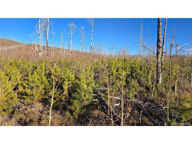 1505 Von Hyle Ln, Fort Garland, CO 81133