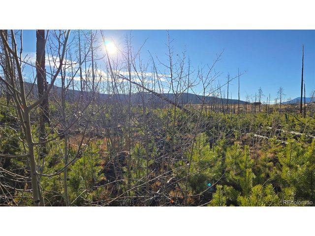 1505 Von Hyle Ln, Fort Garland, CO 81133