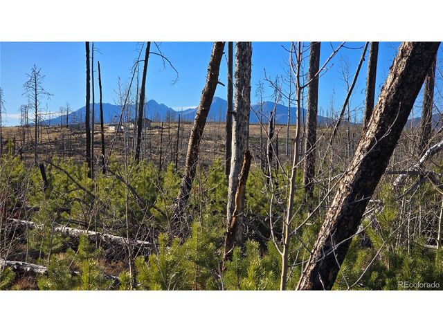 1505 Von Hyle Ln, Fort Garland, CO 81133