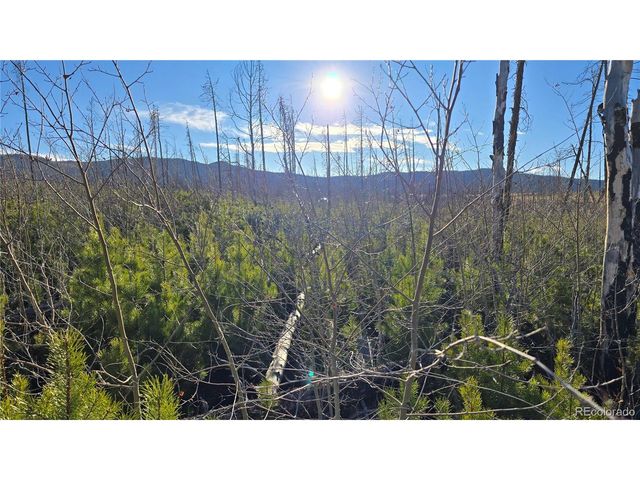 1505 Von Hyle Ln, Fort Garland, CO 81133