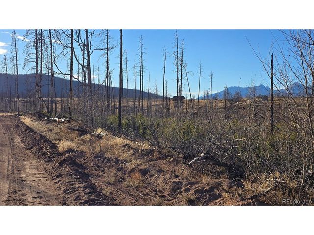 1505 Von Hyle Ln, Fort Garland, CO 81133