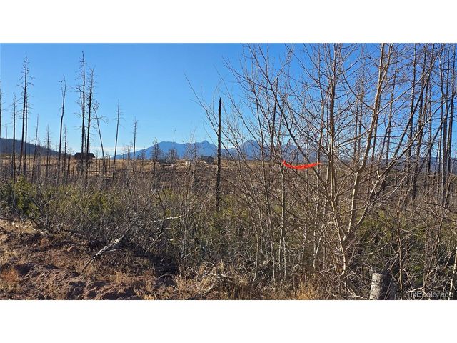 1505 Von Hyle Ln, Fort Garland, CO 81133