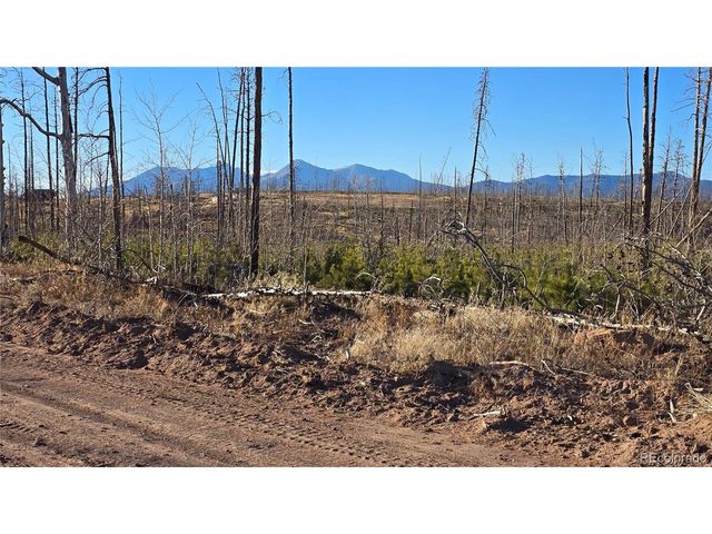 1505 Von Hyle Ln, Fort Garland, CO 81133