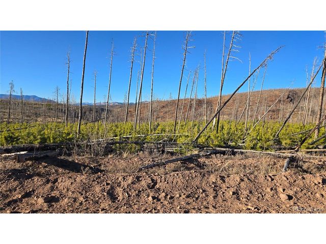 1505 Von Hyle Ln, Fort Garland, CO 81133