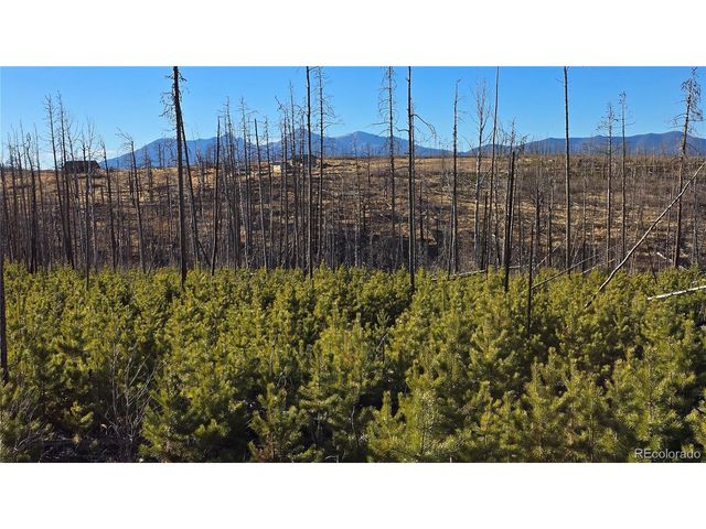 1505 Von Hyle Ln, Fort Garland, CO 81133