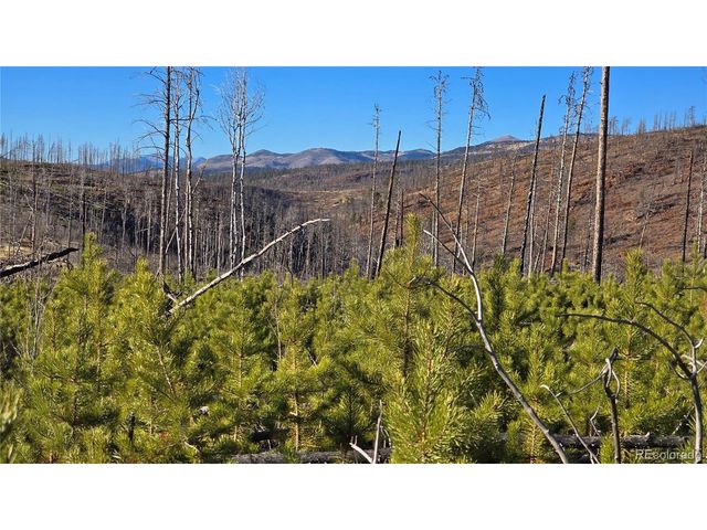 1505 Von Hyle Ln, Fort Garland, CO 81133