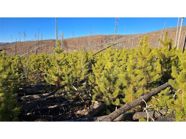 1505 Von Hyle Ln, Fort Garland, CO 81133