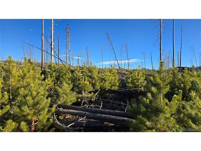 1505 Von Hyle Ln, Fort Garland, CO 81133