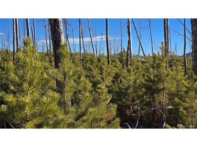 1505 Von Hyle Ln, Fort Garland, CO 81133