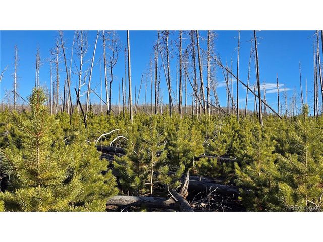 1505 Von Hyle Ln, Fort Garland, CO 81133