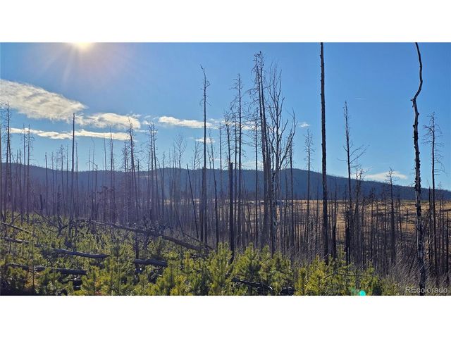 1505 Von Hyle Ln, Fort Garland, CO 81133