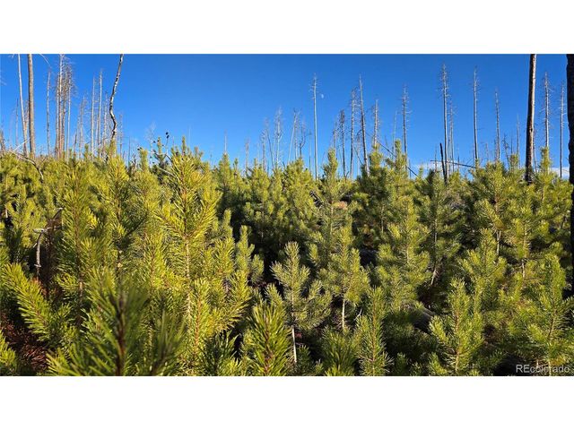 1505 Von Hyle Ln, Fort Garland, CO 81133