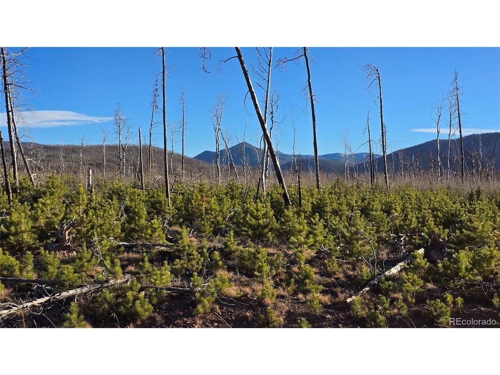 1505 Von Hyle Ln, Fort Garland, CO 81133