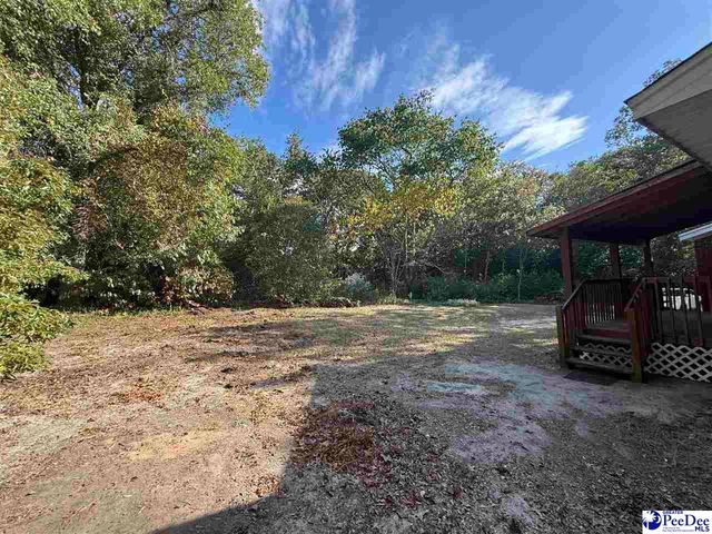 2545 Robinson View Drive, Hartsville, SC 29550