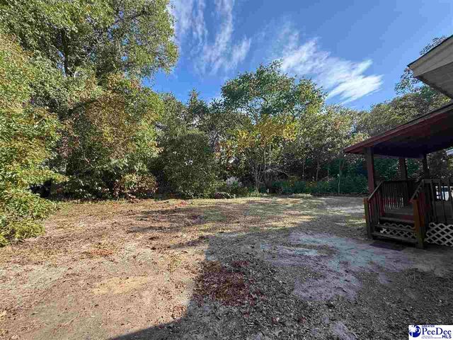 2545 Robinson View Drive, Hartsville, SC 29550