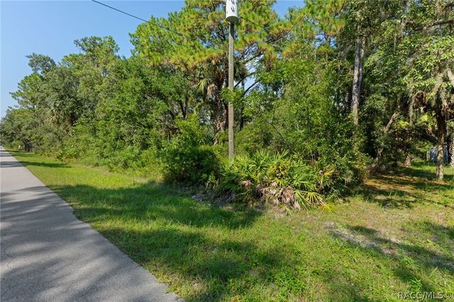 2733 S Bolton Avenue, Homosassa, FL 34448