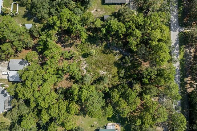2733 S Bolton Avenue, Homosassa, FL 34448