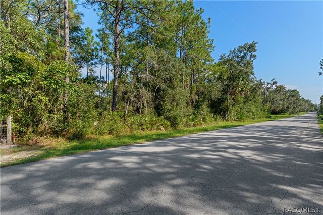 2733 S Bolton Avenue, Homosassa, FL 34448