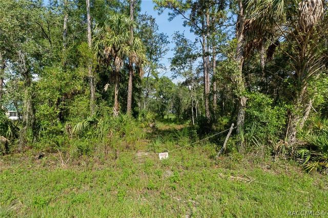 2733 S Bolton Avenue, Homosassa, FL 34448