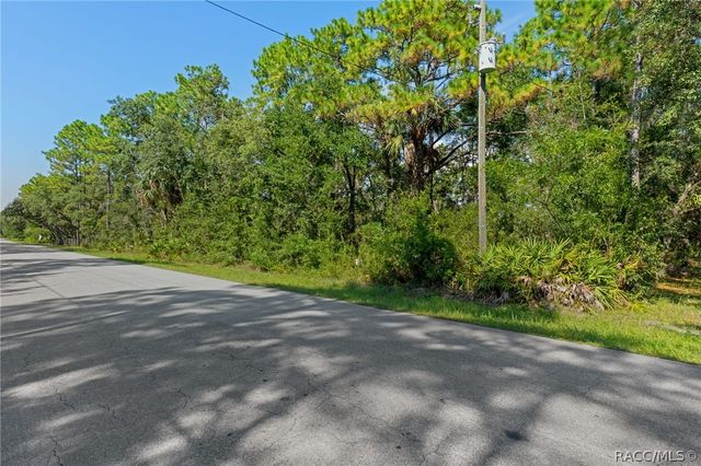 2733 S Bolton Avenue, Homosassa, FL 34448