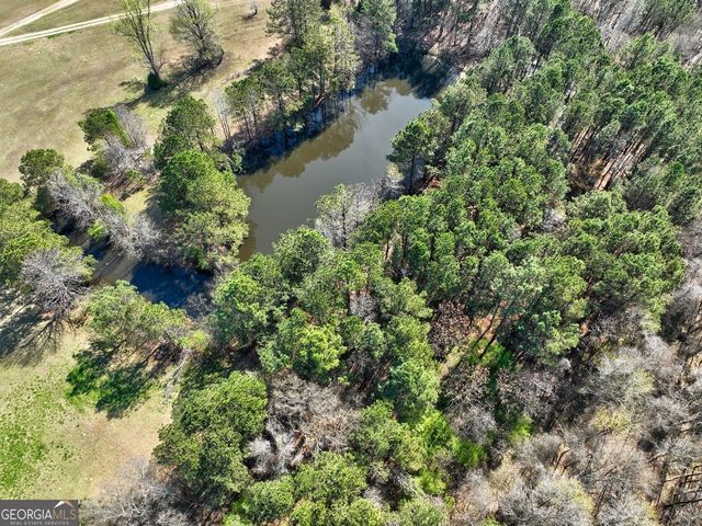 205 Highway 186 TRACT 1, Good Hope, GA 30641