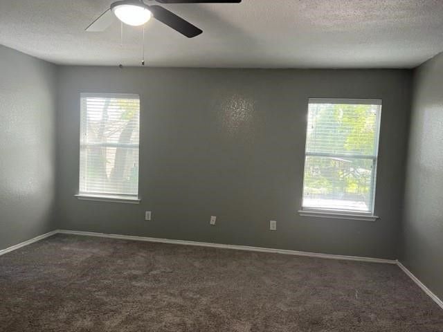 208 Billy Wickliffe Drive, Wilmer, TX 75172