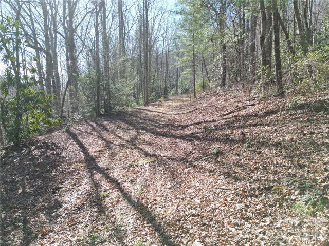 49 Reeds Creek Road, Fairview, NC 28730