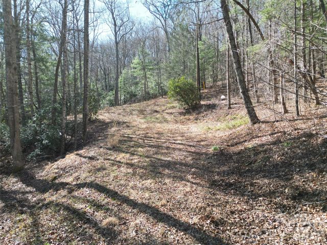 49 Reeds Creek Road, Fairview, NC 28730