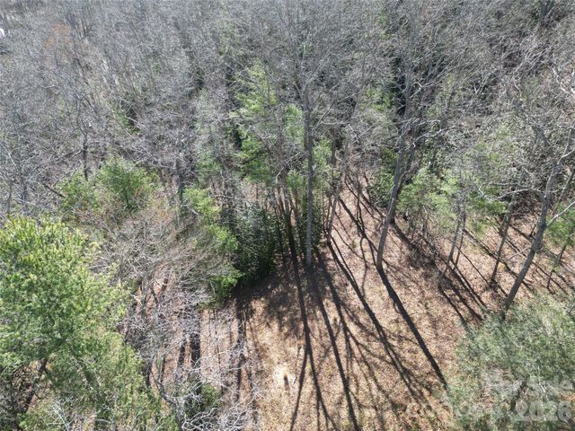49 Reeds Creek Road, Fairview, NC 28730