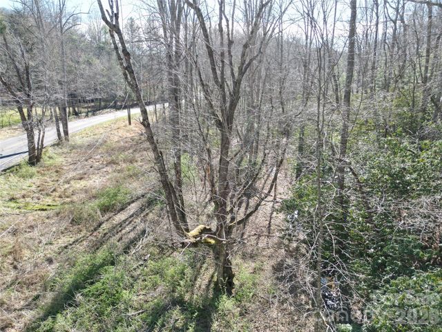 49 Reeds Creek Road, Fairview, NC 28730