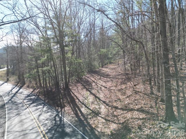 49 Reeds Creek Road, Fairview, NC 28730