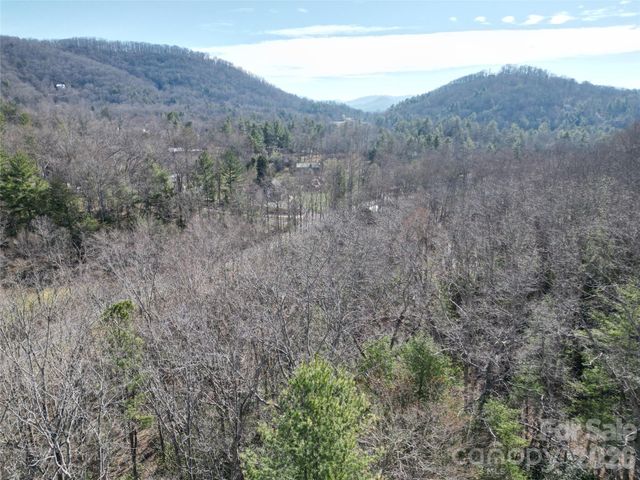49 Reeds Creek Road, Fairview, NC 28730