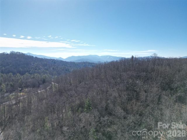 49 Reeds Creek Road, Fairview, NC 28730