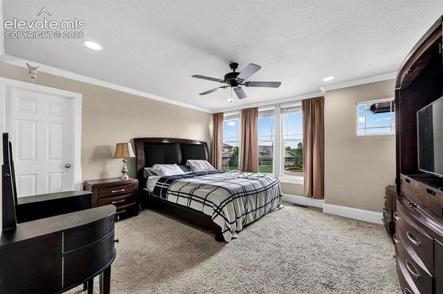 6660 Big Leaf Lane, Colorado Springs, CO 80927