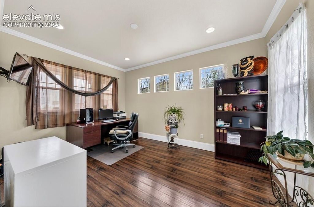 6660 Big Leaf Lane, Colorado Springs, CO 80927 — photo 5