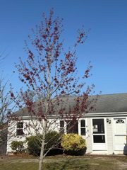 4 Summer Street, Dennis Port, MA 02639