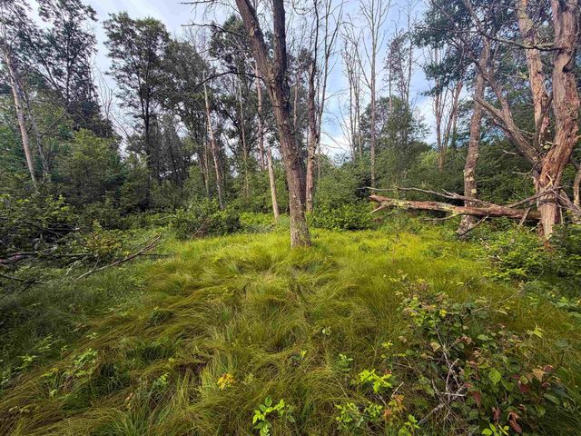 4.96ac 12th Street E, Necedah, WI 54646