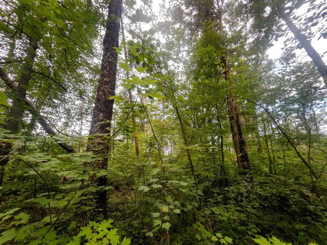 4.96ac 12th Street E, Necedah, WI 54646