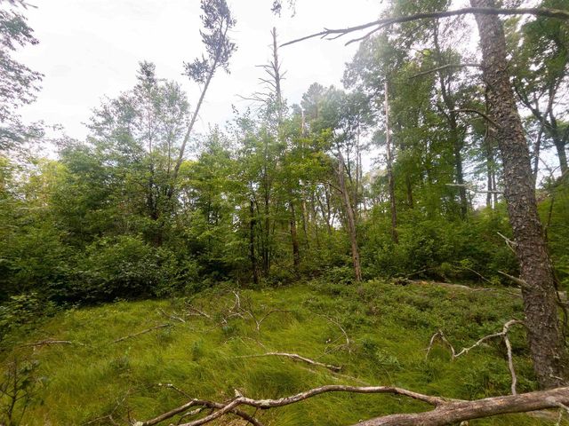 4.96ac 12th Street E, Necedah, WI 54646