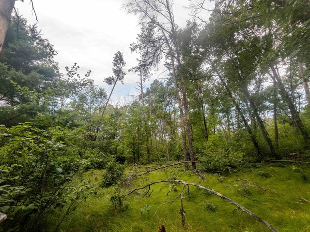 4.96ac 12th Street E, Necedah, WI 54646