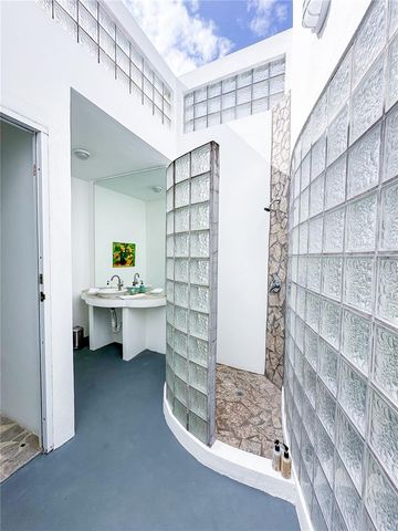 411 BRAVOS DE BOSTON, Vieques, PR 00765