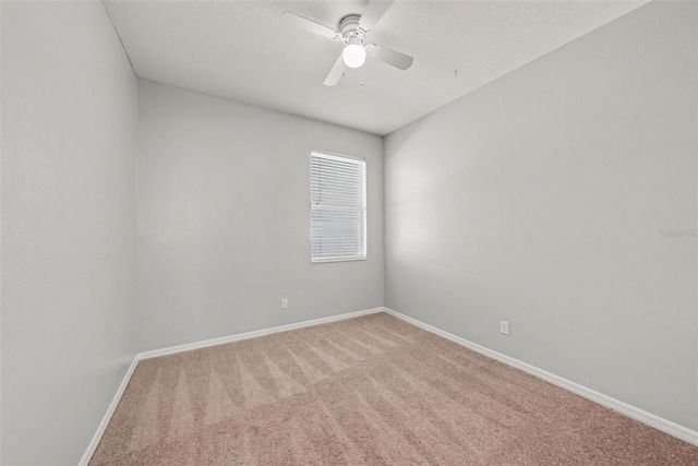 636 TANANA FALL DRIVE, Ruskin, FL 33570