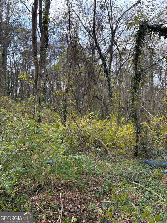 3233 Jonesboro Road SE, Atlanta, GA 30354