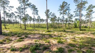 0 Tranquility Road, Livingston, TX 77351