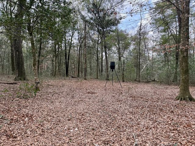 836 Campbell Road, Hartford, AL 36344