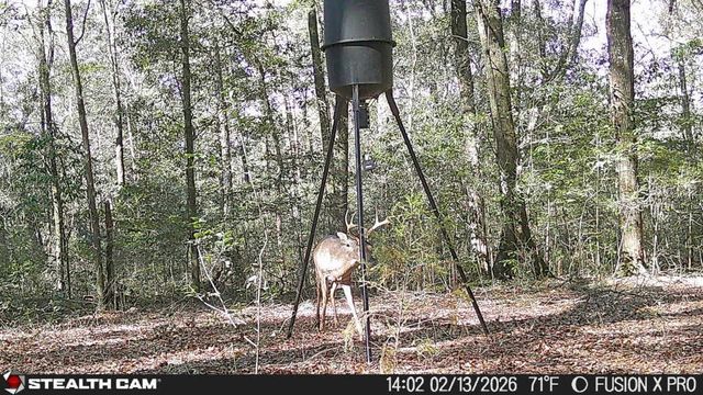 836 Campbell Road, Hartford, AL 36344