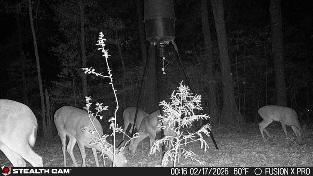 836 Campbell Road, Hartford, AL 36344