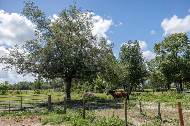 11751 SE 16TH LANE, Morriston, FL 32668