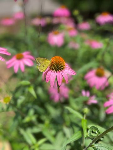 1801 Glenbrook Court, Bedford, TX 76021