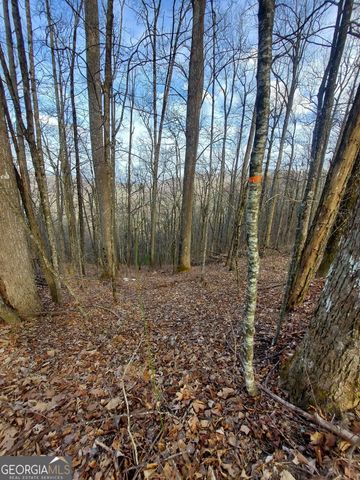 0 LOTS 9 & 9A Wild Bird, Sky Valley, GA 30537